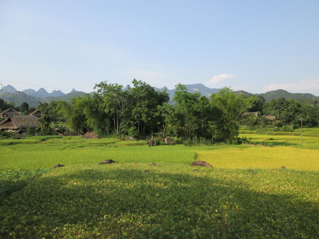 Dong Que Homestay-Tours-Motorbike, Car Rental, Hiking Ha Giang Dış mekan fotoğraf