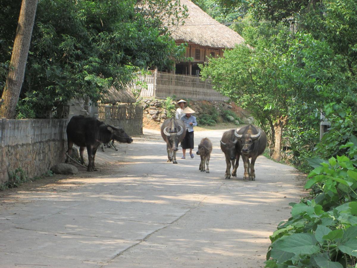 Dong Que Homestay-Tours-Motorbike, Car Rental, Hiking Ha Giang Dış mekan fotoğraf